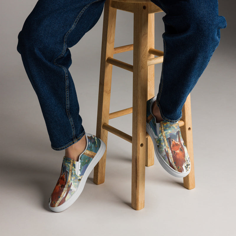 Beguile Men’s slip-on canvas shoes